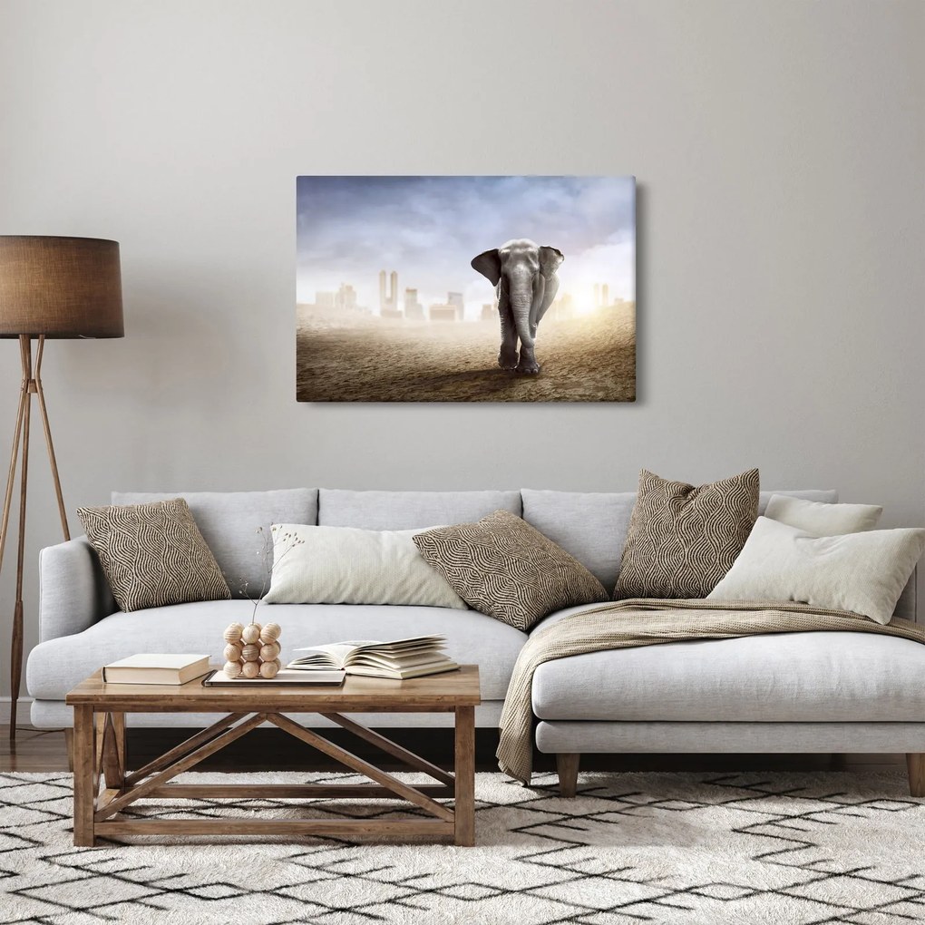 Obraz - Sloníčka vo veľkomeste (90x60 cm)