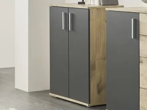 Skrinka 2-dverová Bacalar, dub viking/šedá%