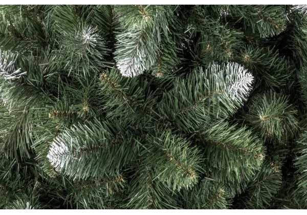 Vianočný stromček POLA 180 cm borovica