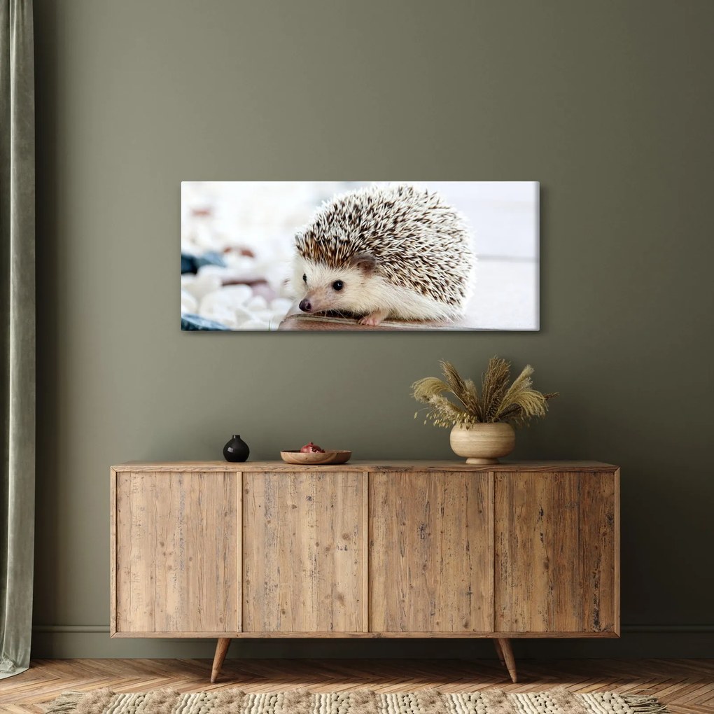 Obraz ježka (120x50 cm)