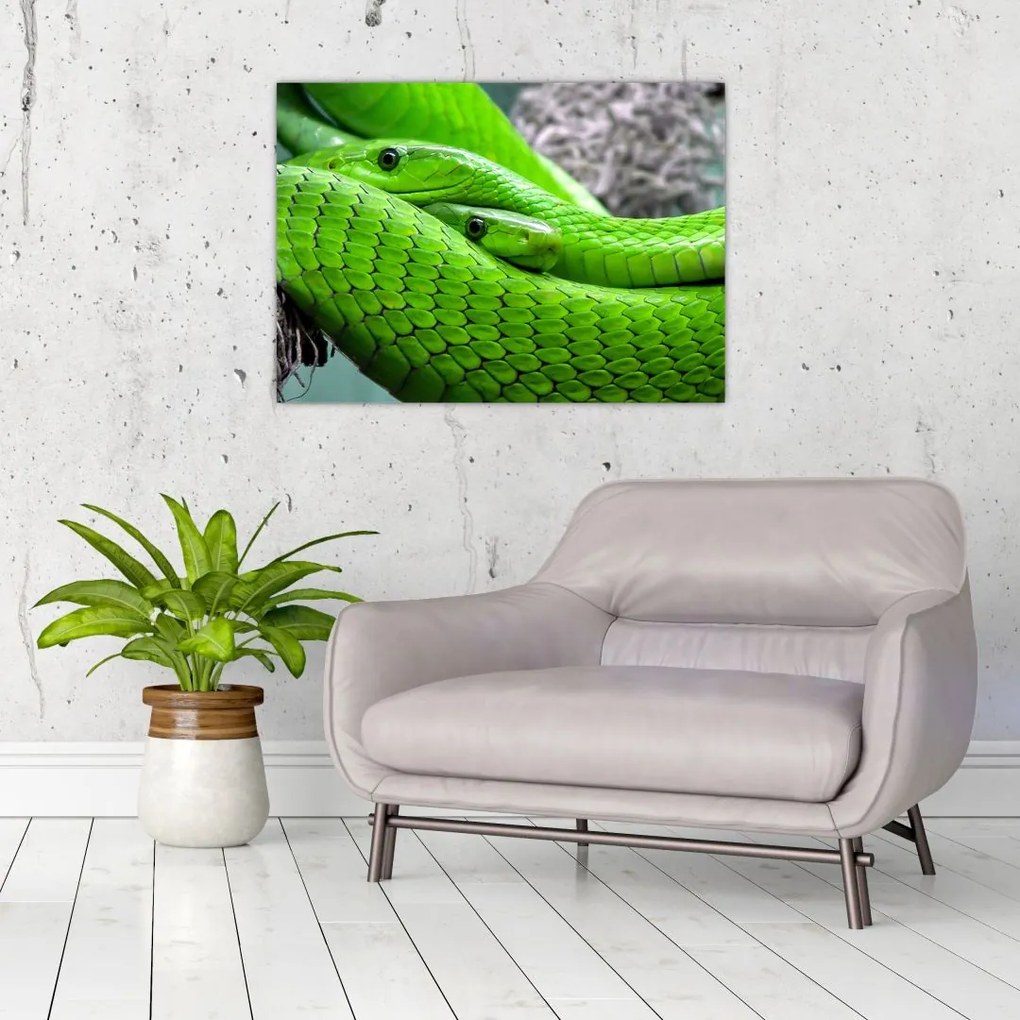Sklenený obraz zelených hadov (70x50 cm)
