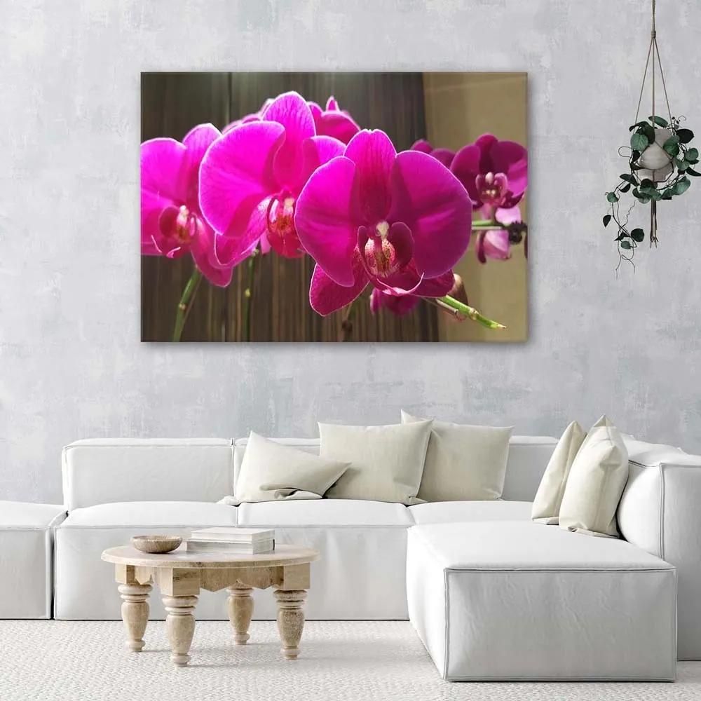 Obraz na plátně Zenová orchidej Růžový květ - 120x80 cm