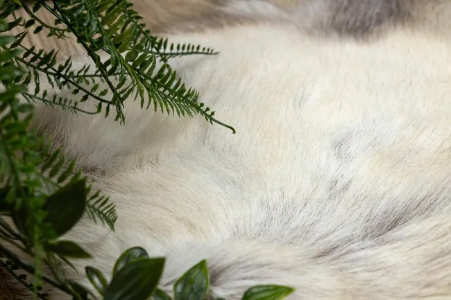 Koberec RENIFER POK017 sivý / biely