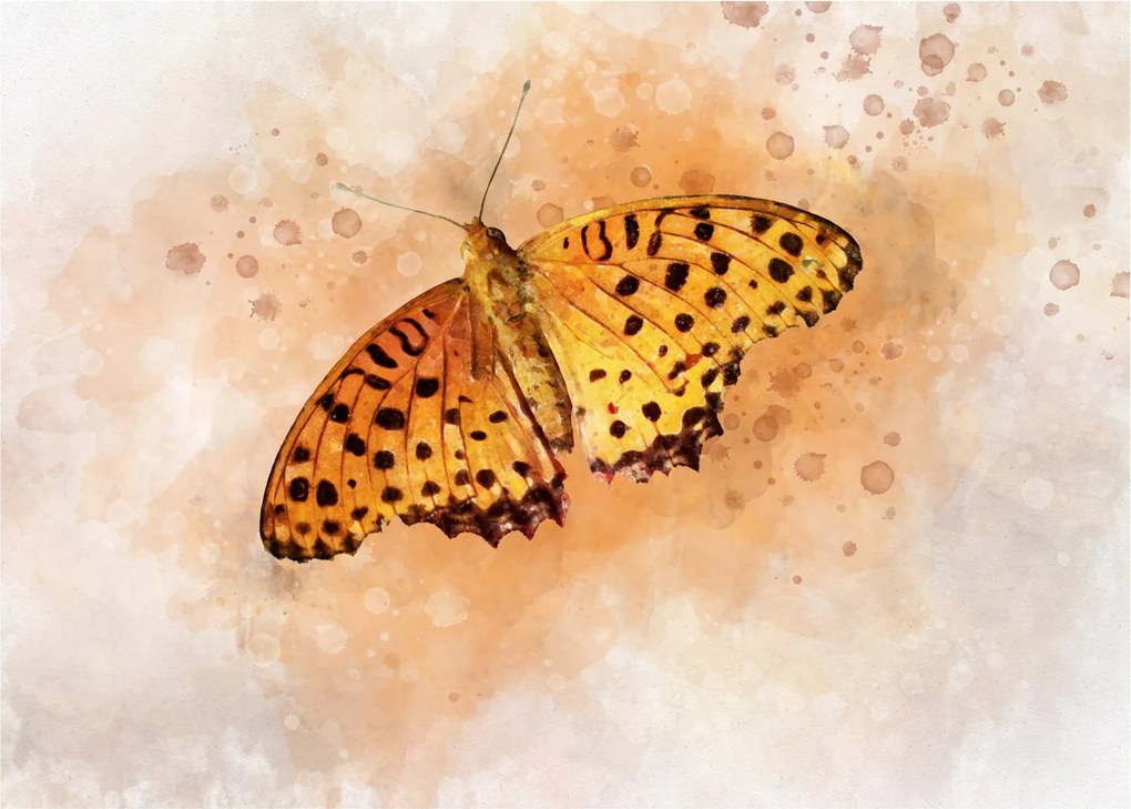 Sklenený obraz - Oranžový motýľ, aquarel (70x50 cm)