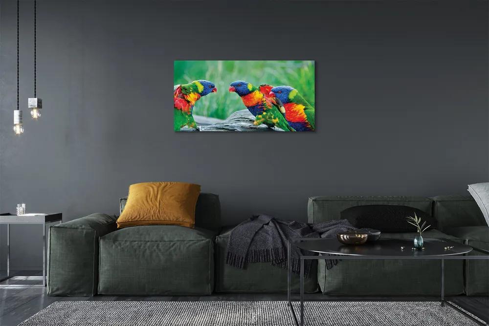 Obraz na plátne Farebný papagáj stromu 125x50 cm