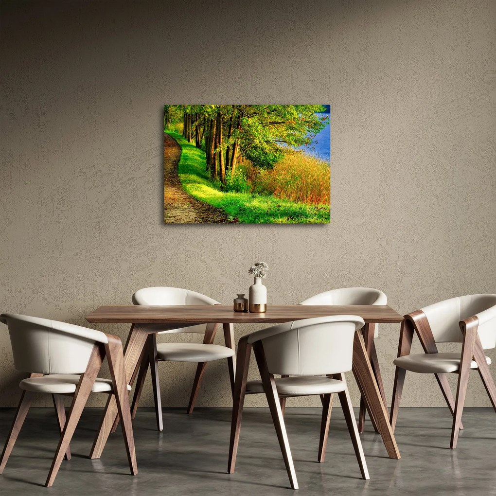 Obraz chodníky pozdĺž vody (70x50 cm)