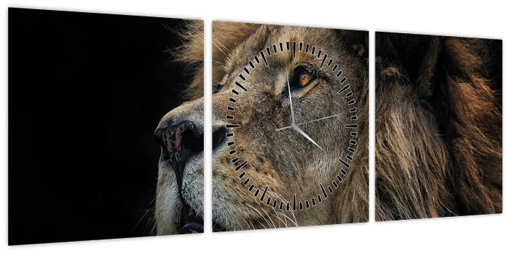 Obraz - Majestátny lev (s hodinami) (90x30 cm)