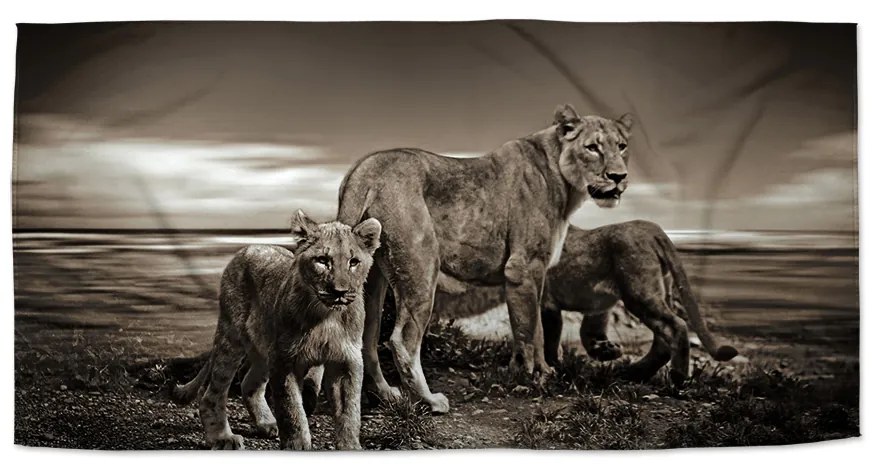 Sablio Uterák Levice a levíčatá - 50x100 cm