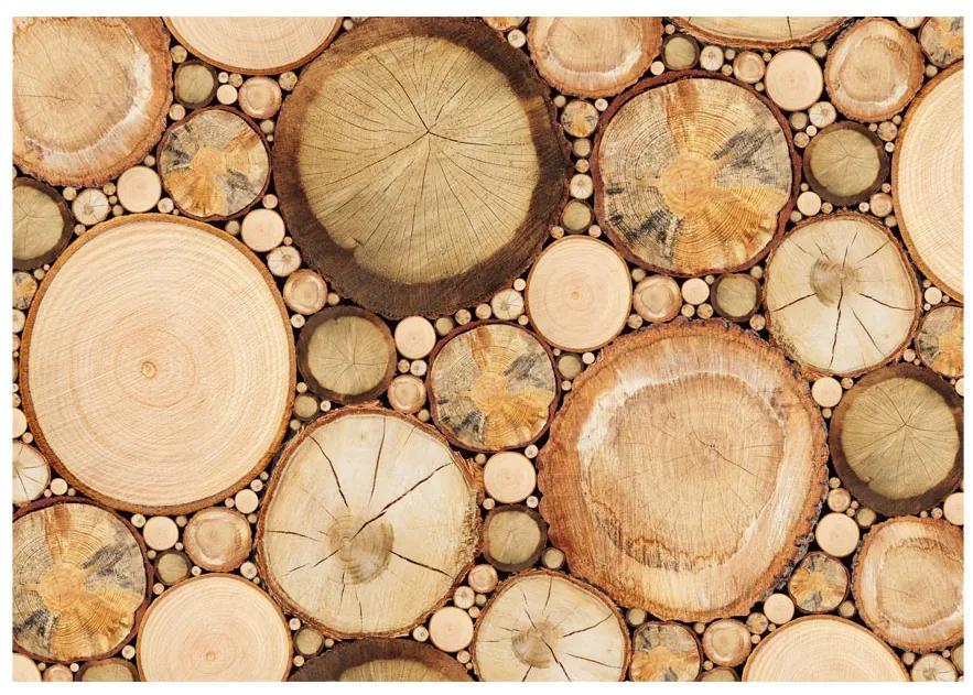 Artgeist Fototapeta - Wood grains Veľkosť: 100x70, Verzia: Premium