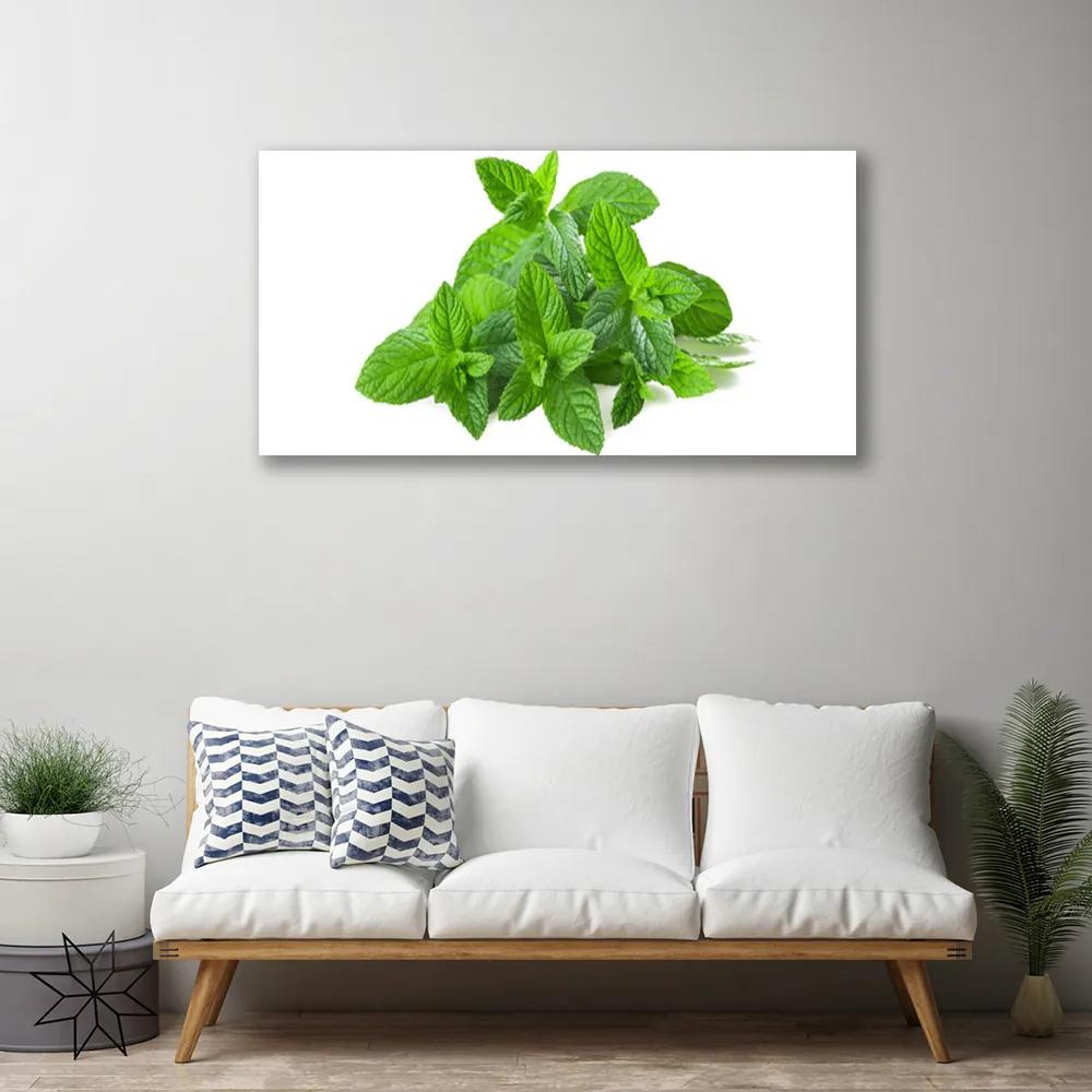Obraz Canvas Mäta rastlina príroda 120x60 cm