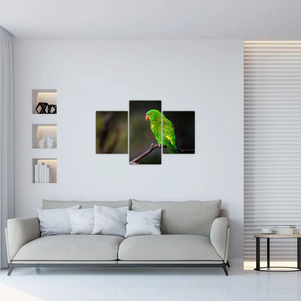 Obraz papagája na vetve (90x60 cm)