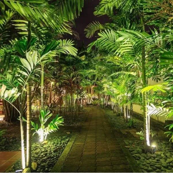 LED Vonkajšia lampa LED/12W/230V 3000K čierna IP65