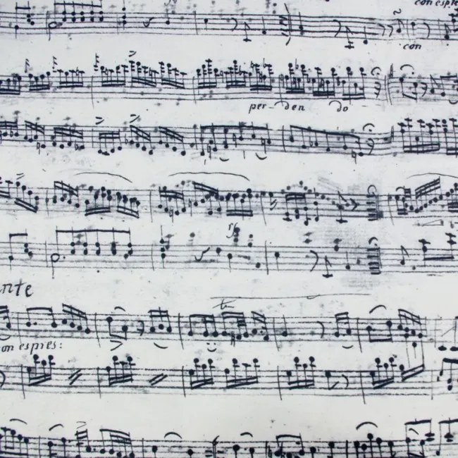Obdĺžnikový vankúš music