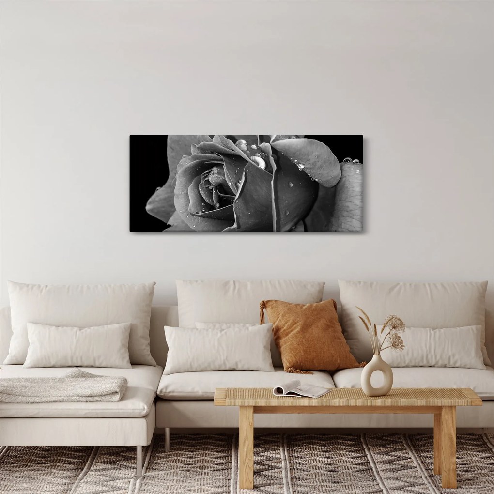 Obraz ruža - čiernobiela (120x50 cm)