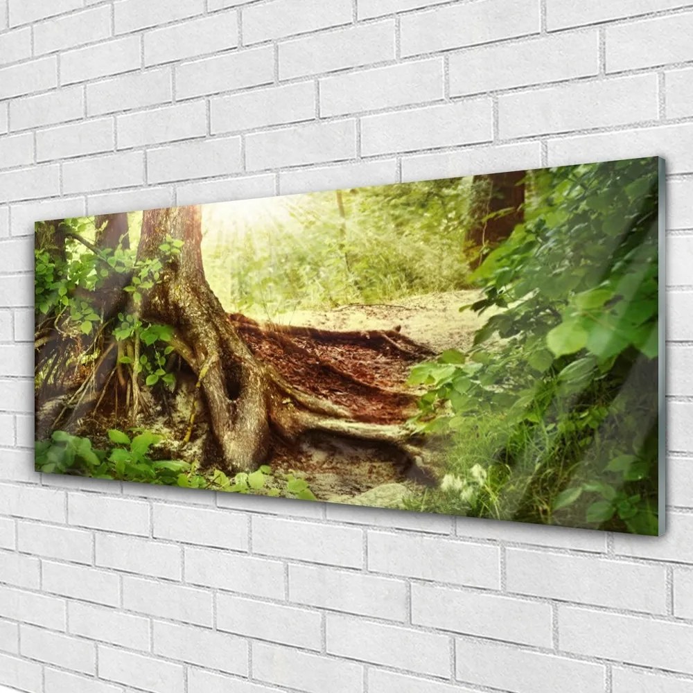 Obraz plexi Strom kmeň príroda les 125x50 cm