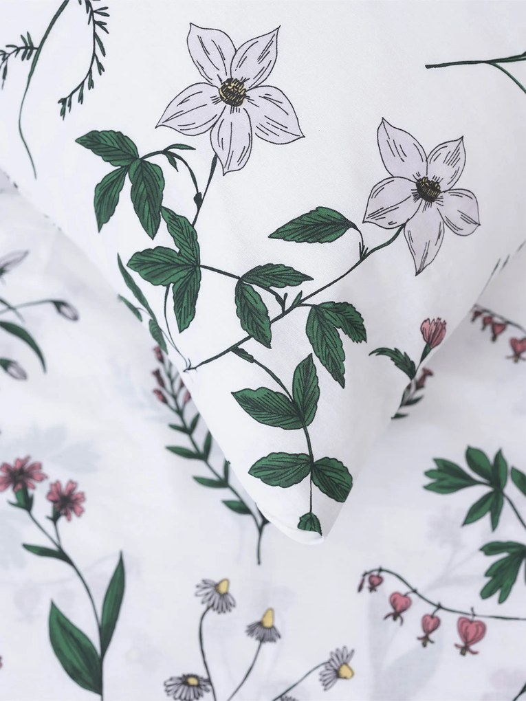 Bavlnená obliečka na vankúš Renforcé 40 × 60 cm - Vivienne