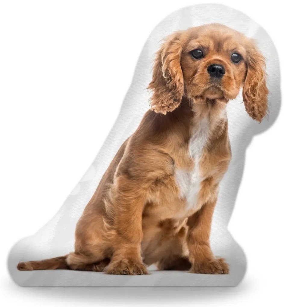 Sablio 3D vankúš King charles španiel