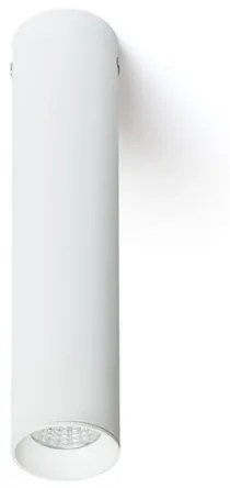 RENDL RIGA 18 stropná biela 230V LED 4W 38° 3000K R12450