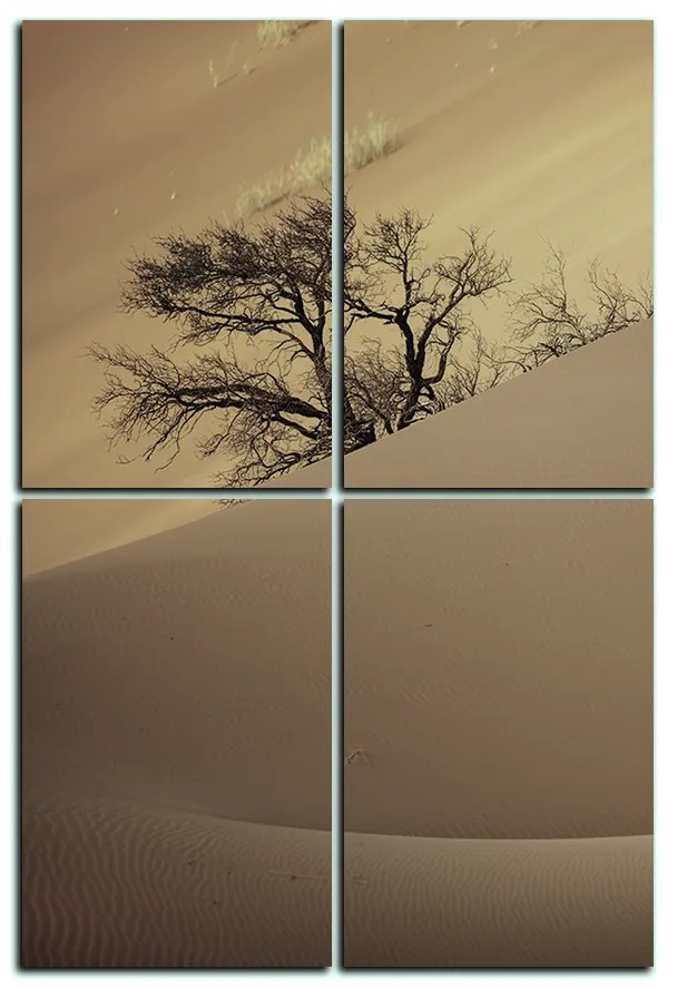 Obraz na plátne - Červené piesočné duny - obdĺžnik 7133FE (120x80 cm)