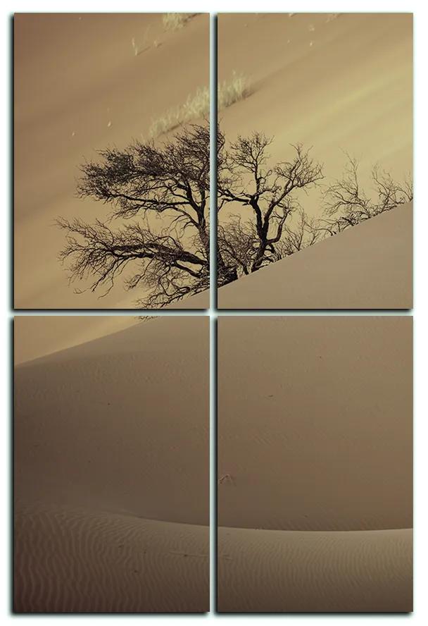 Obraz na plátne - Červené piesočné duny - obdĺžnik 7133FE (90x60 cm)