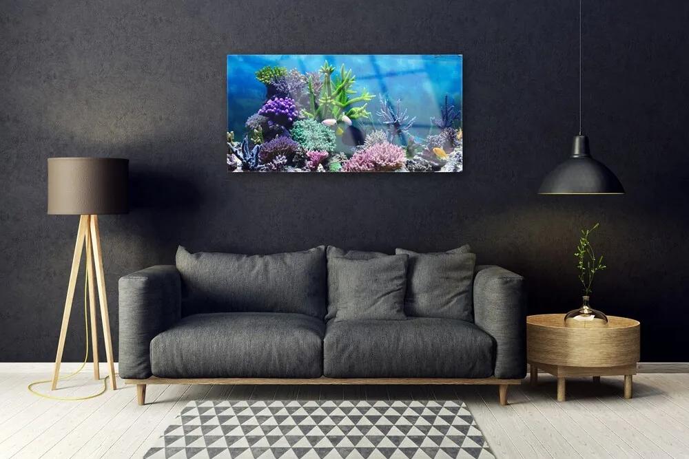Skleneny obraz Akvárium rybičky pod vodou 100x50 cm