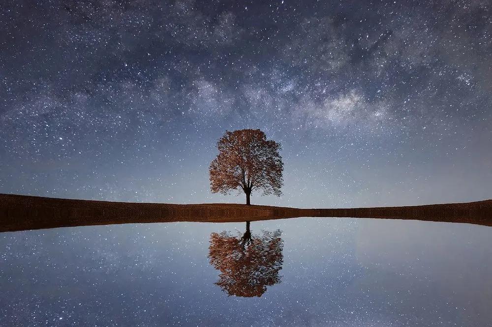 Fototapeta hviezdna obloha nad osamelým stromom - 150x100