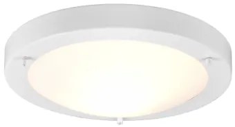 CONDUS | Stropne prisadená okrúhla lampa Farba: Biela