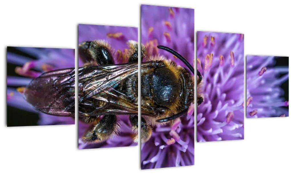 Obraz včely na kvetine (125x70 cm), 40 ďalších rozmerov