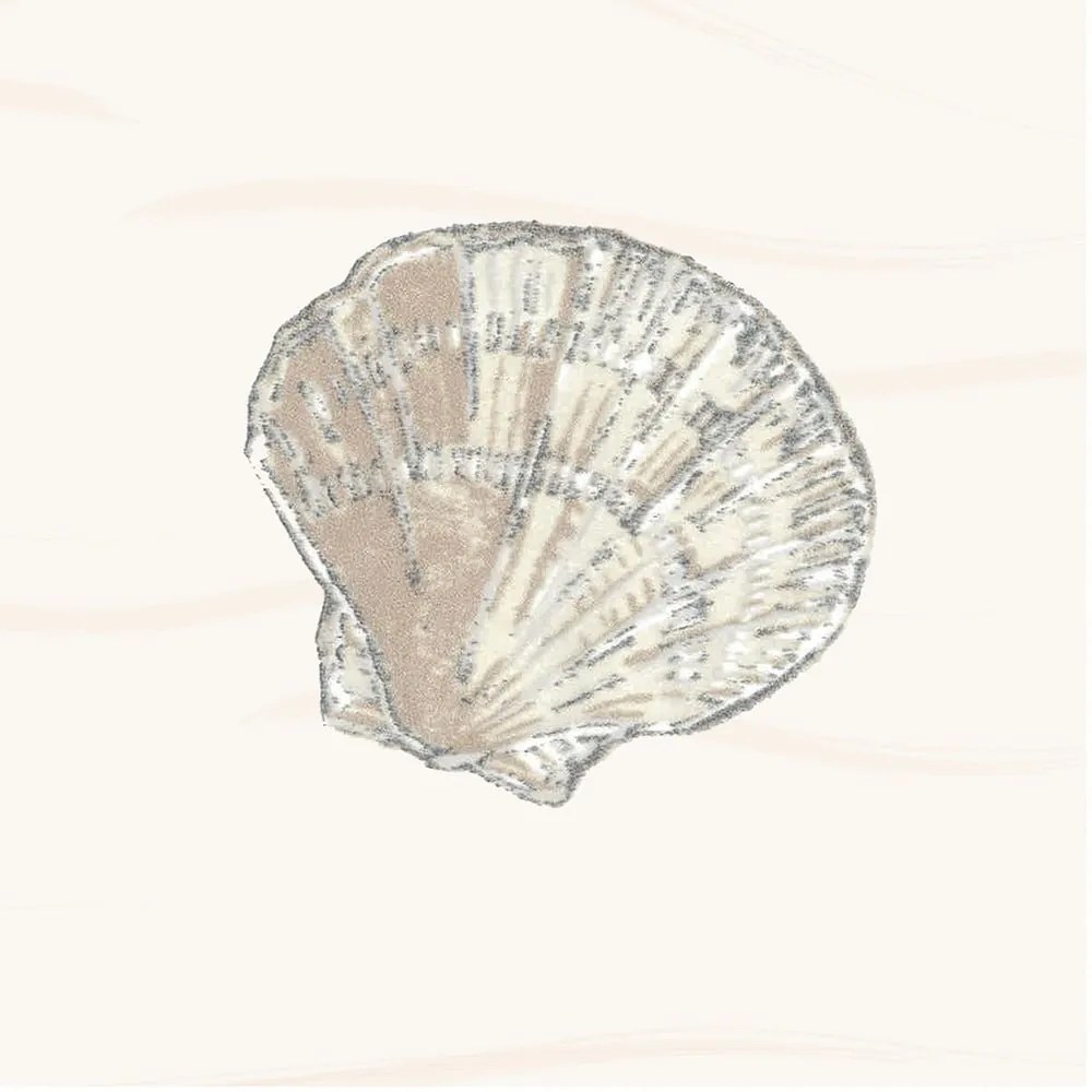 Sprchový záves 180x180 cm Atlantis – Spirella