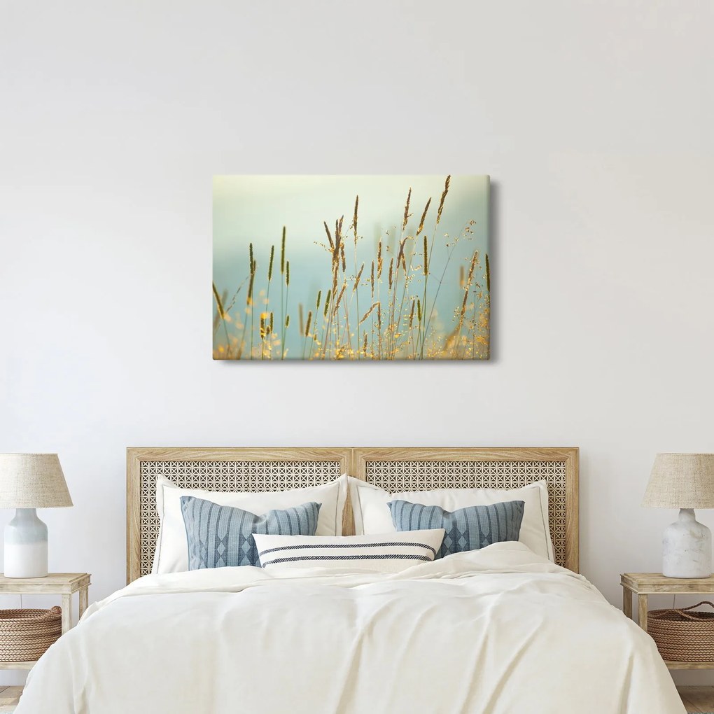 Obraz - Lúčny okamih (90x60 cm)