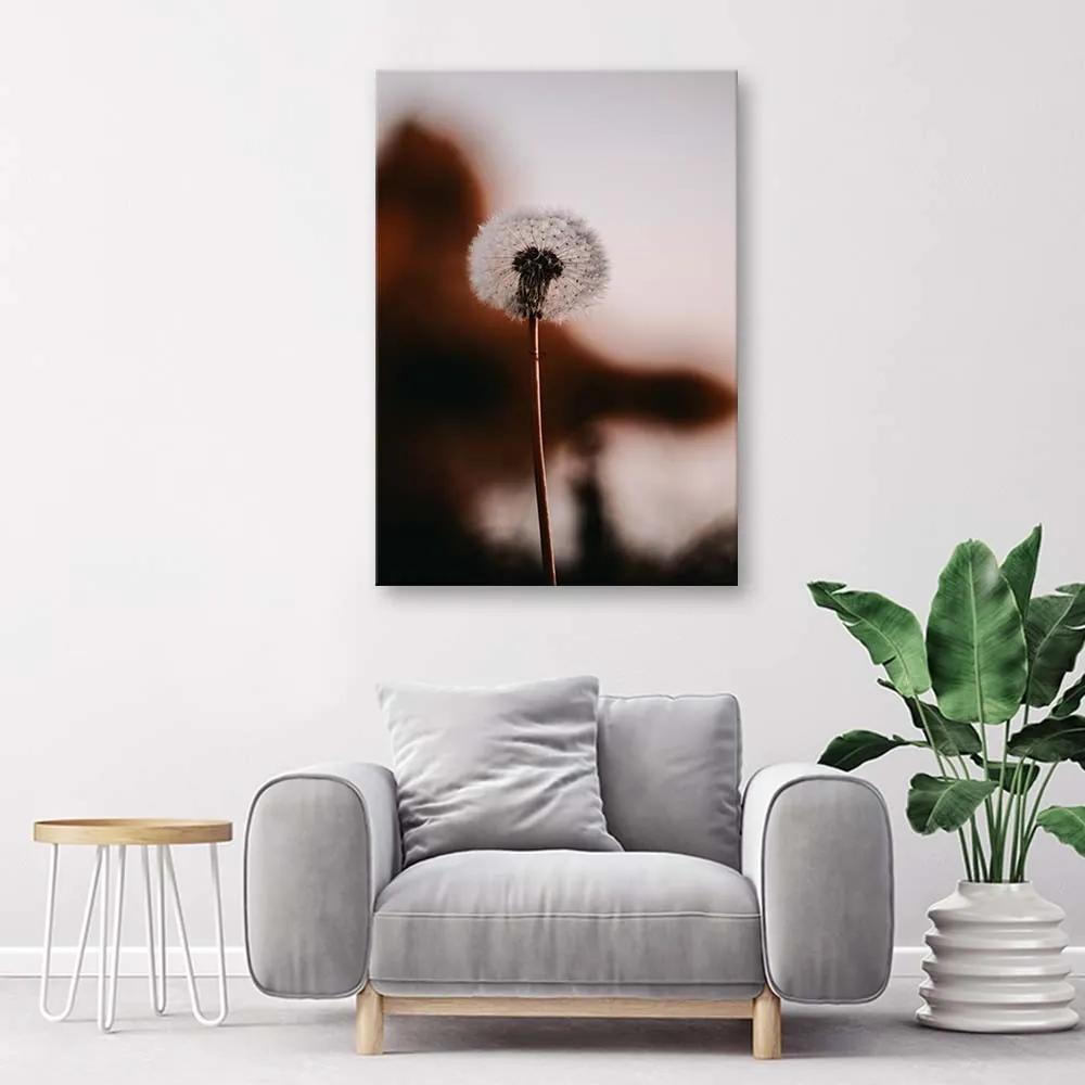 Obraz na plátně Pampeliška Rostliny - 80x120 cm