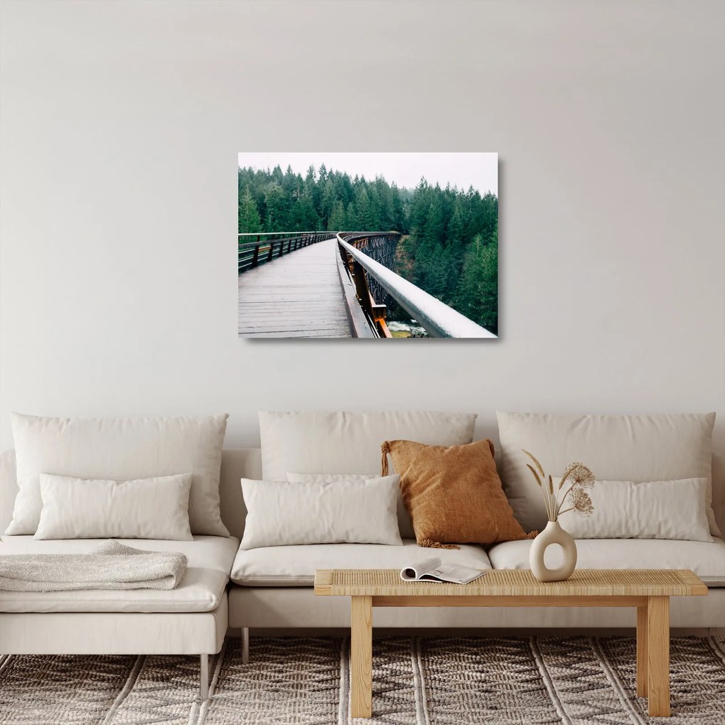 Sklenený obraz - Most k vrcholkom stromov (70x50 cm)