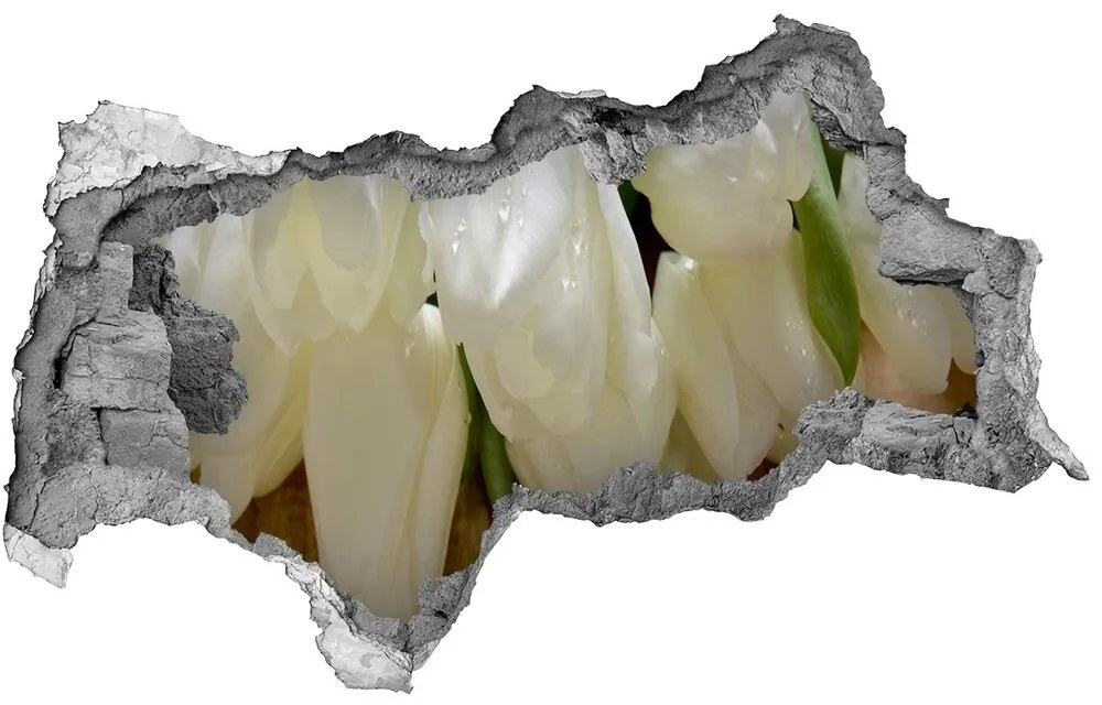 Samolepiaca nálepka fototapeta Biele tulipány nd-b-104686883