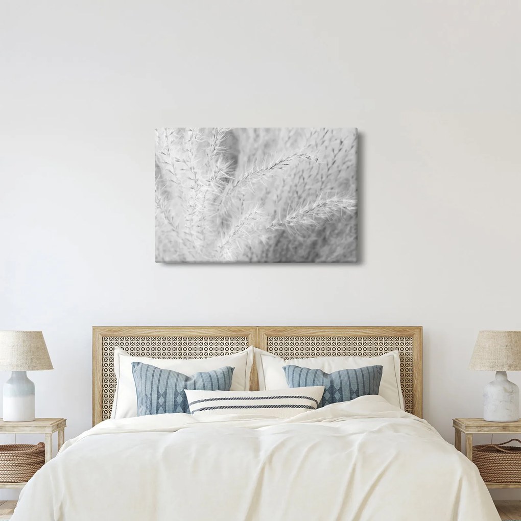 Obraz - Pampas grass N⁰1 (90x60 cm)