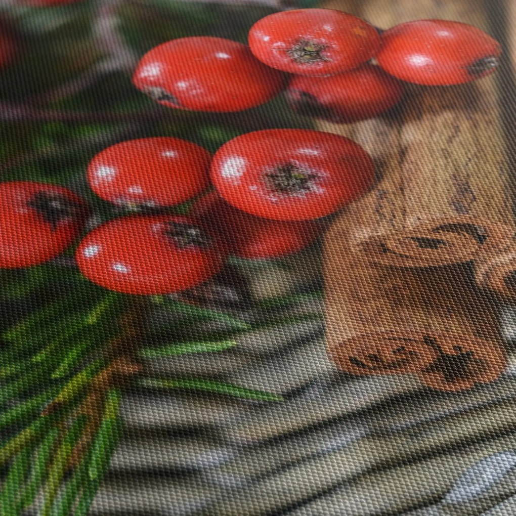 Obraz jarabiny a škorice (150x105 cm)