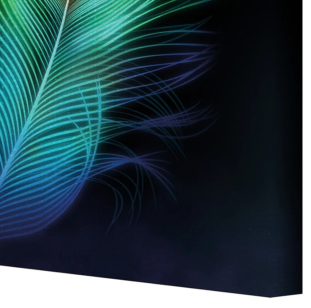 Plátno maľba Peacock Eye