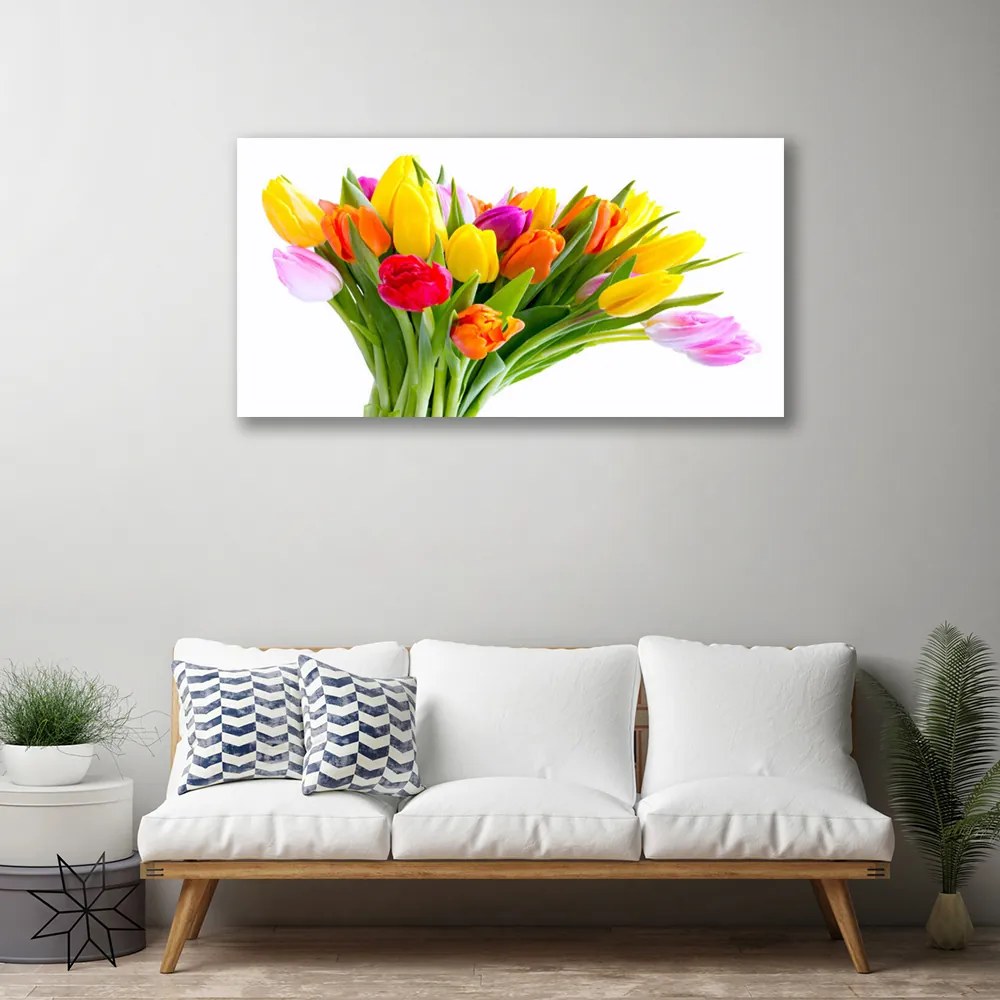 Obraz Canvas Tulipány kvety rastlina 100x50 cm