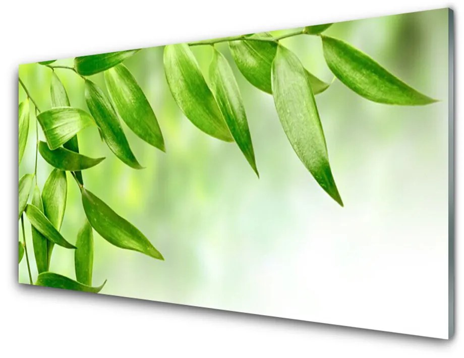 Sklenený obklad Do kuchyne Zelené listy príroda 140x70cm