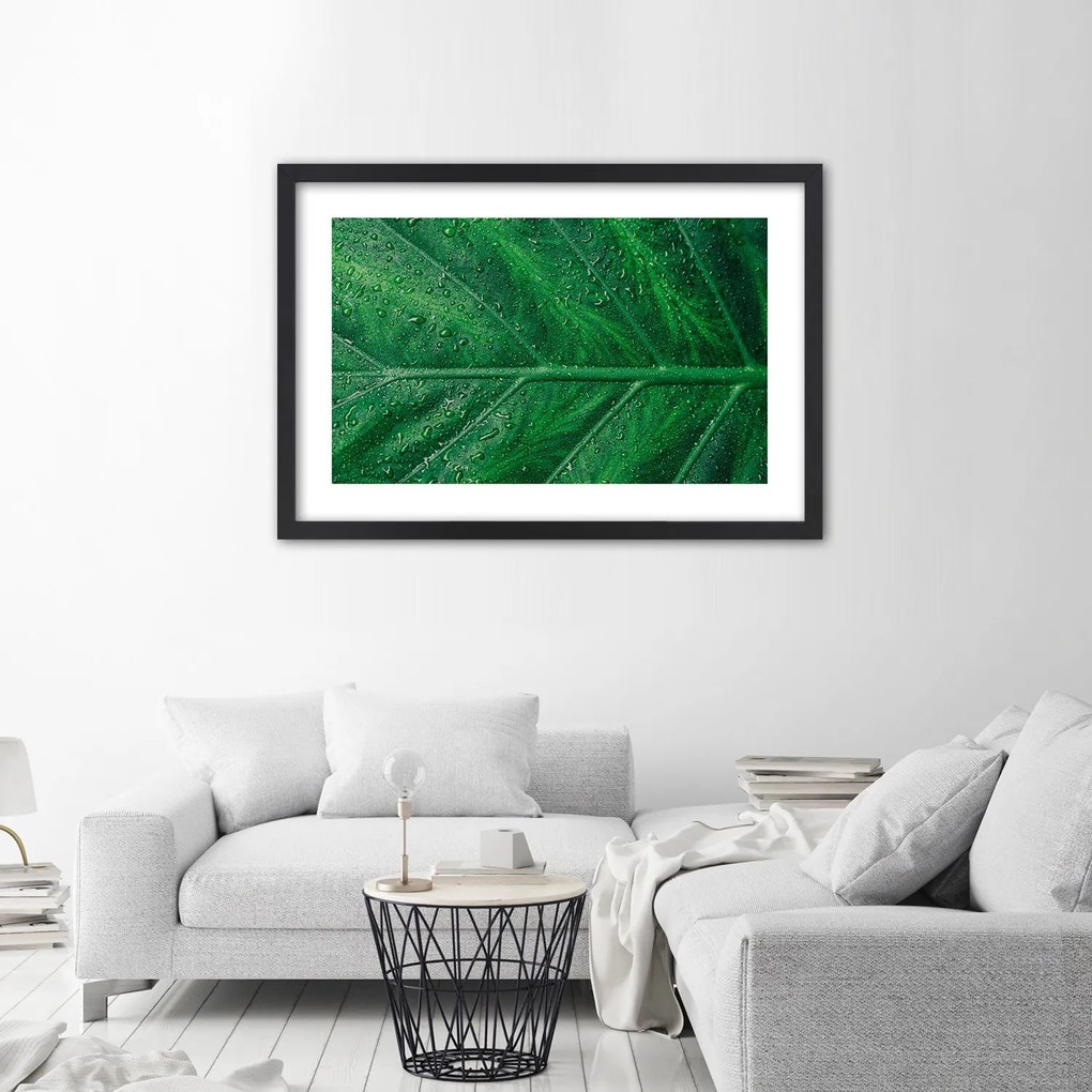 Gario Plagát Mokrý list v detailnom zábere Farba rámu: Bez rámu, Rozmery: 30 x 20 cm