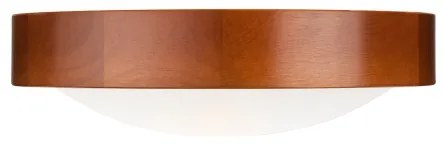 Stropné svietidlo 1xE27/60W/230V