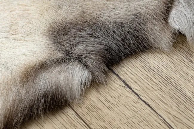 Koberec RENIFER POK017 sivý / biely