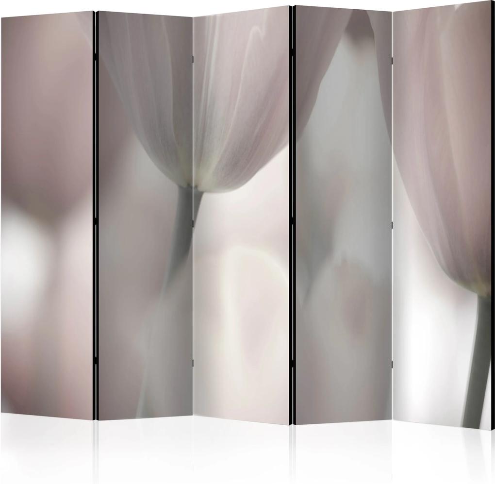 Paraván - Tulips fine art - black and white [Room Dividers] 225x172