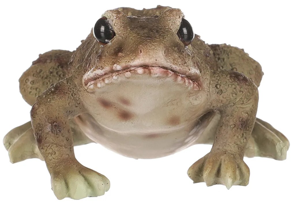Záhradná dekorácia Žaba, 10 x 6 x 8 cm, polyresin