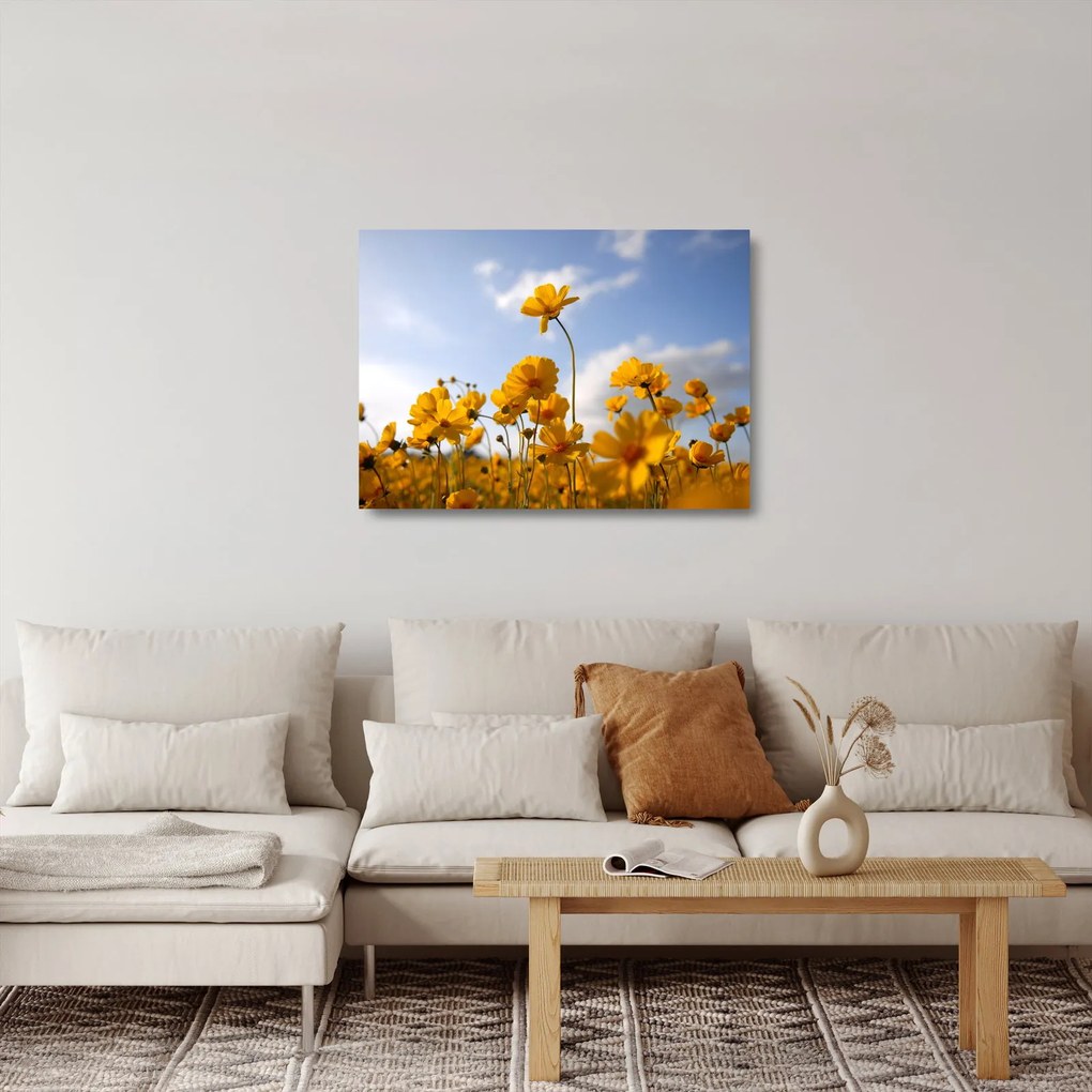 Sklenený obraz poľa s jasne žltými kvetmi (70x50 cm)