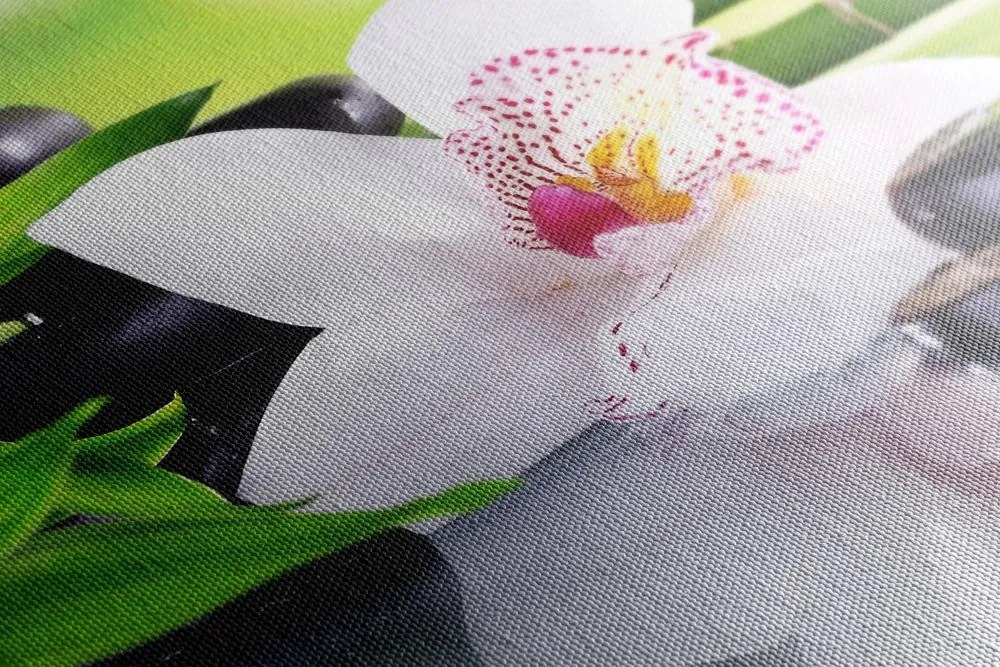 Obraz japonská orchidea Varianta: 120x80
