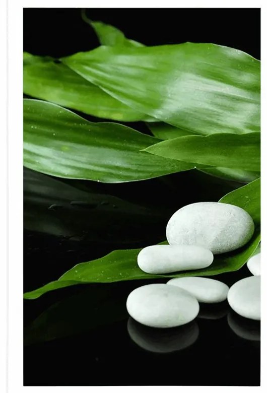 Plagát prírodná terapia - 60x90 silver