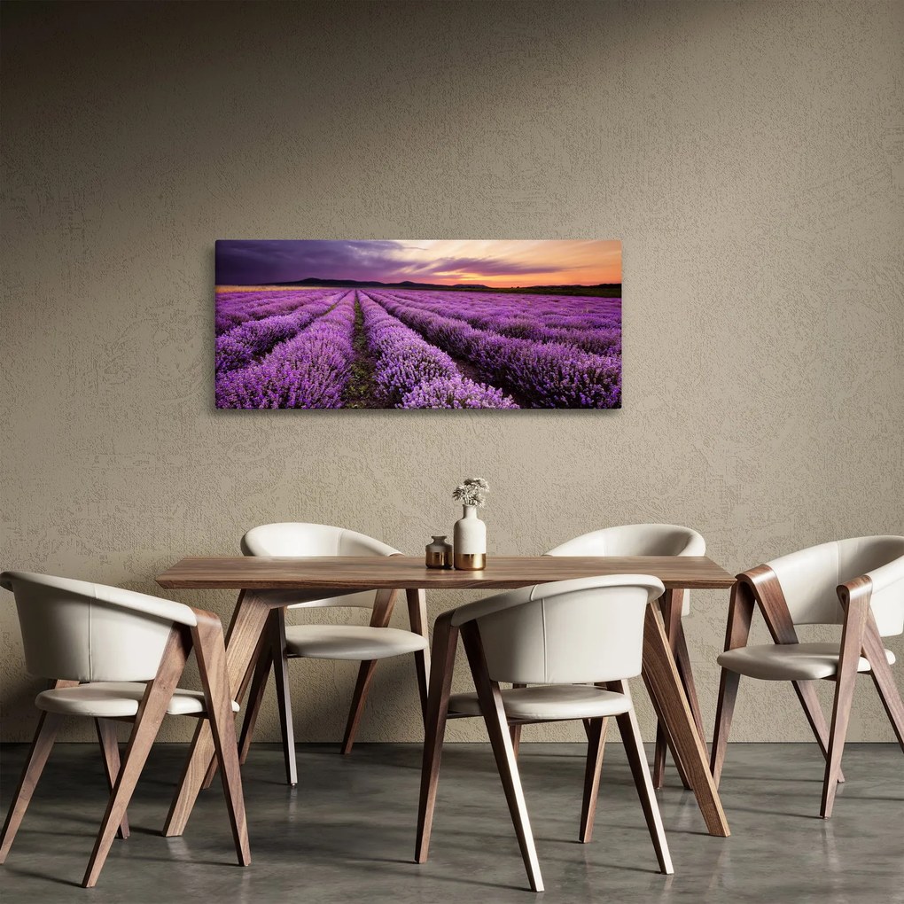 Obraz - Levanduľové pole pri západe slnka (120x50 cm)