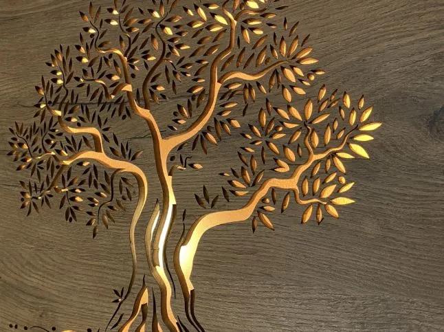 Obraz na stenu strom Olivovník