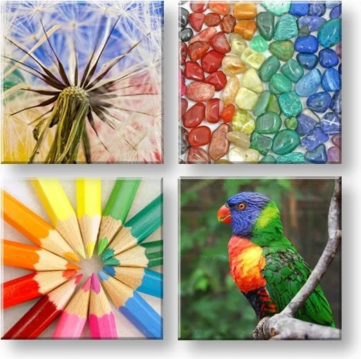 Obraz na stenu Colorful vibes 4 dielny XOBKOL20E42