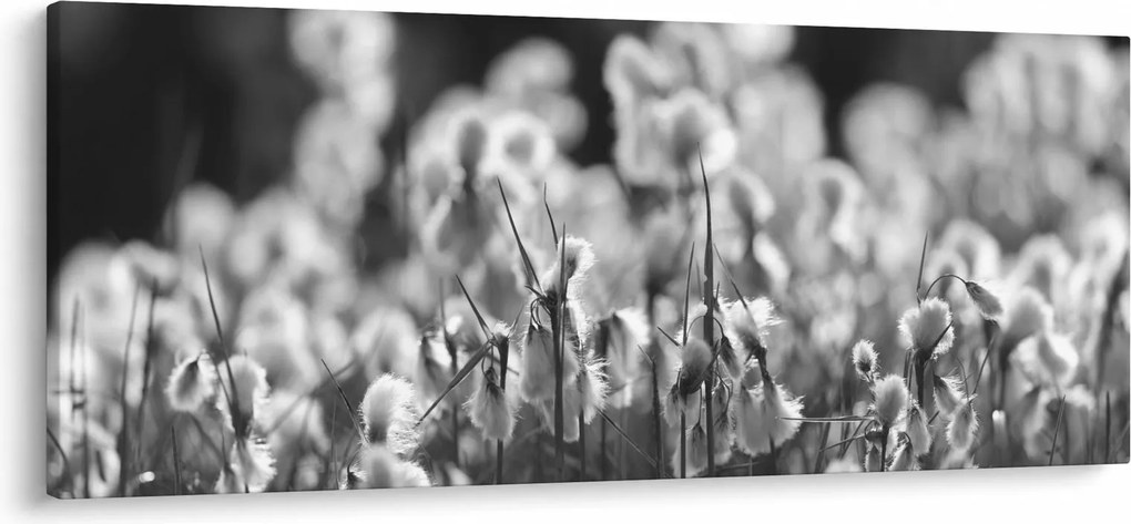 Obraz - Letná lúka (120x50 cm)